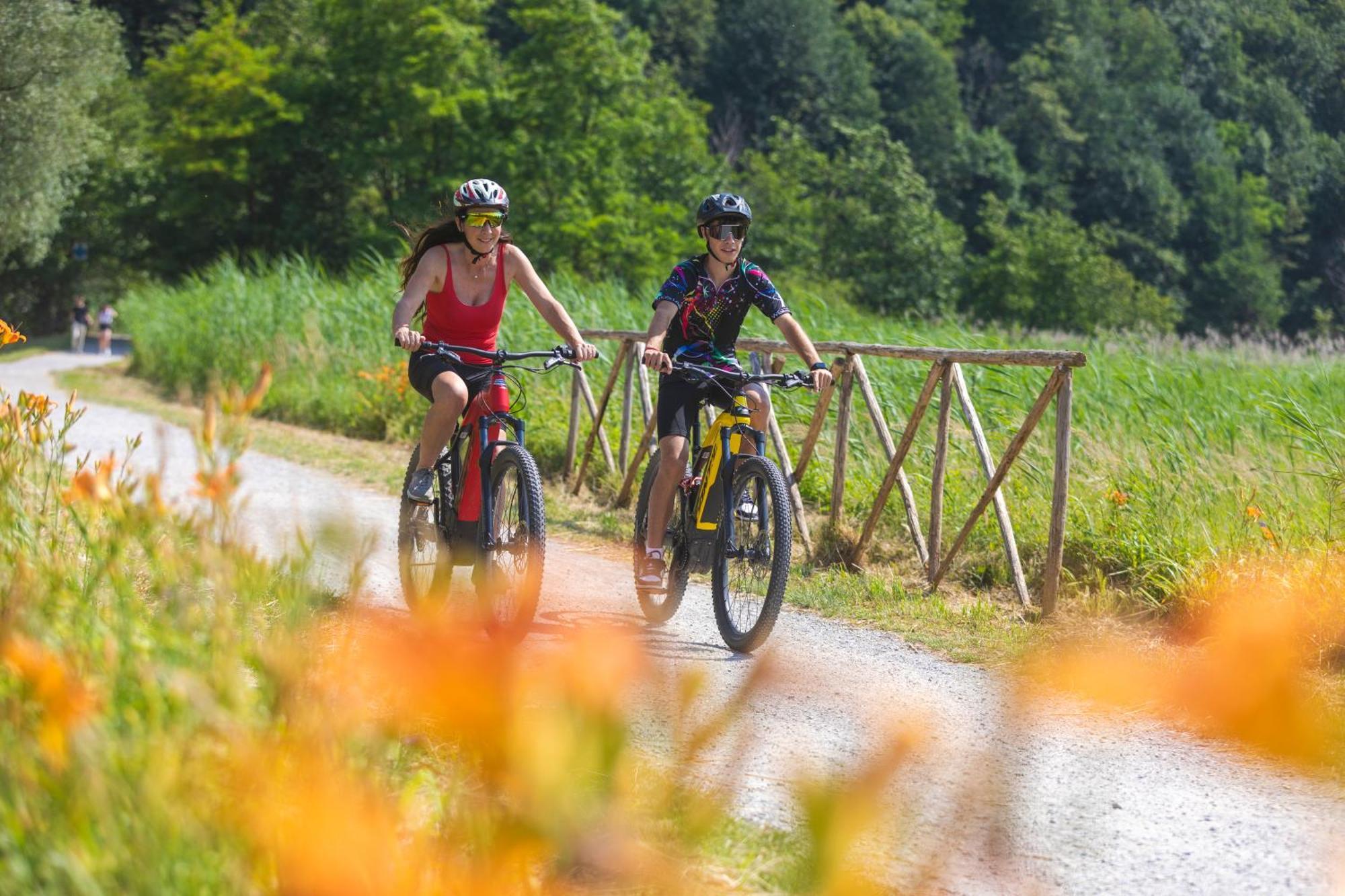 Villa Iris -Pet Friendly Stay - Garden - Private Parking- Bike Friendly Holiday House Colico Kültér fotó