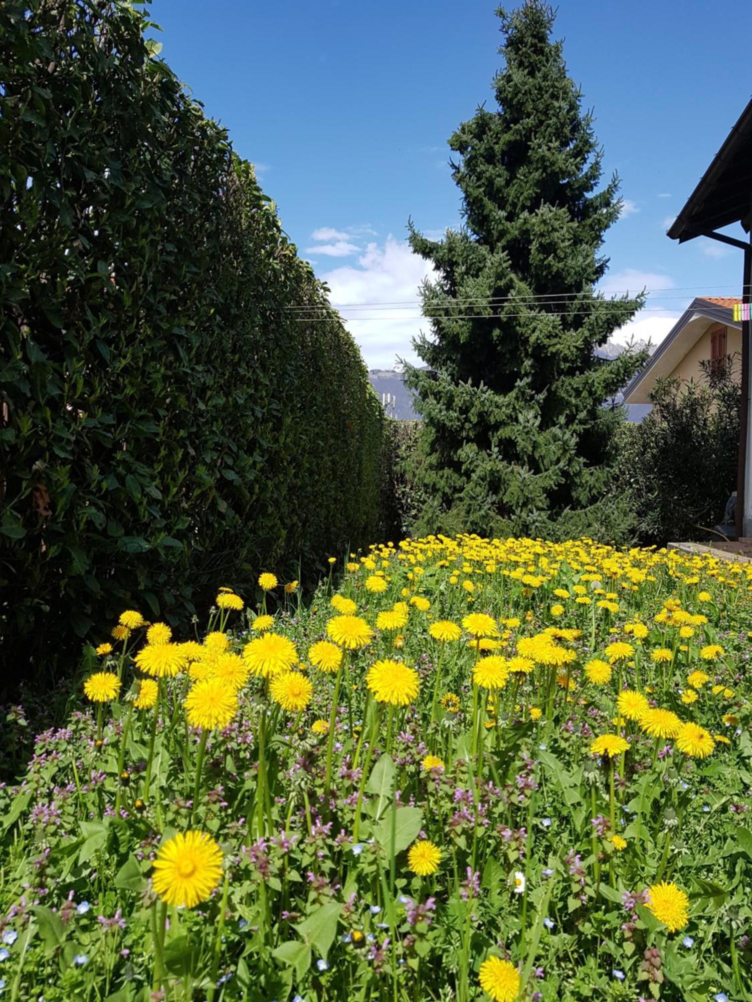 Villa Iris -Pet Friendly Stay - Garden - Private Parking- Bike Friendly Holiday House Colico Kültér fotó
